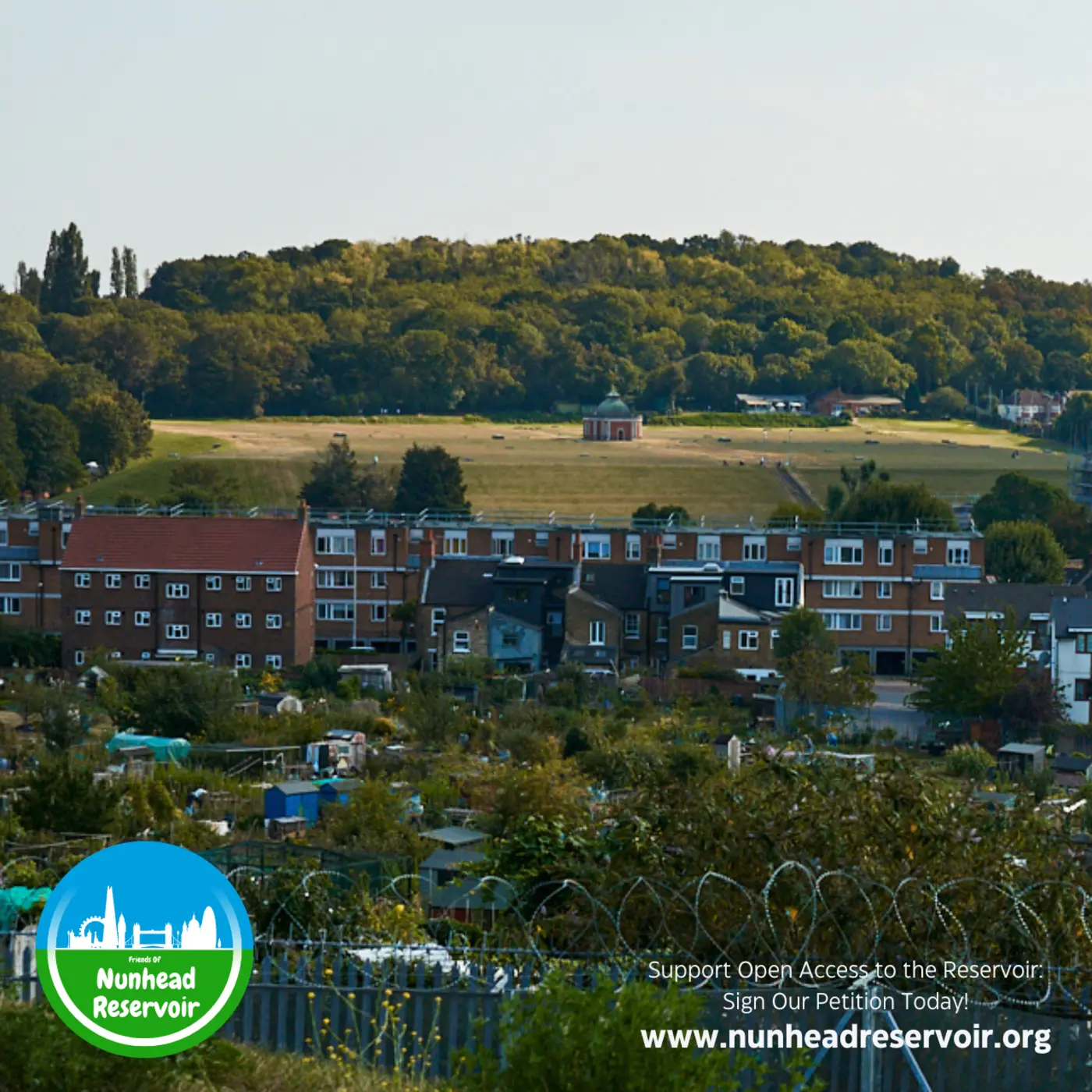 Allotments and back gardens below the reservoir, with the hill and its treeline rising behind them.